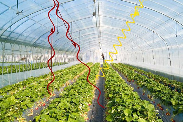راهنمای انتخاب پوشش بر اساس نور و دوام