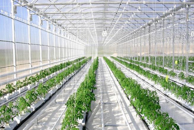 راهنمای انتخاب زمین مناسب برای پروژه گلخانه‌ای
